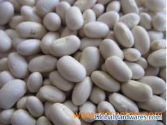 White Kidney Beans Janpanese Type图1