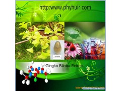 Gingko Biloba extract图1
