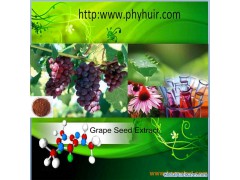 Grape Seed Extract图1