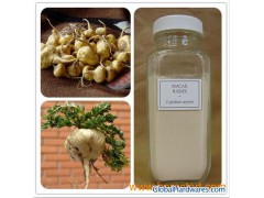 Maca Extract Sexy enhancement图1