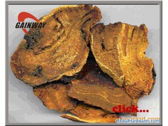 Rhubarb Extract Ingredient Herbal Health图1