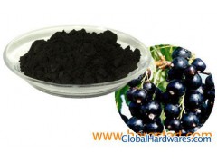 Blackcurrent P.E图1