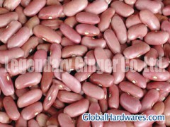 Light Red Kidney Beans图1