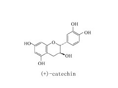 Grape Seed Extract图1