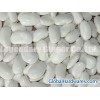 Large White Kidney Beans