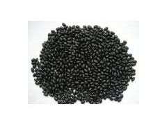 Black Kidney Bean图1