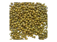 Mung Bean图1