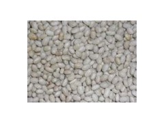White Kidney Beans图1