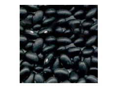 Black Kidney Bean (A006)图1