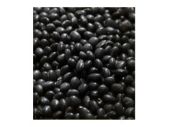 Black Beans图1