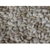 Large White Kidney Beans (qxlwkb1)
