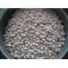 White Kidney Beans