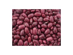 Dark Red Kidney Beans Japanese Type图1