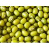 Mung Bean