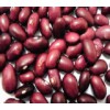 Red Kidney Beans 2010 Crop