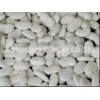Flat Shape White Kidney Beans