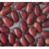 Red Kidney Bean