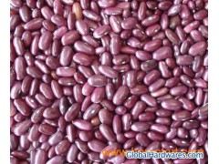 Dark Red Kidney Beans-H.P.S图1