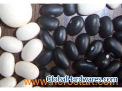 white and black kidney bean图1