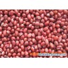 2011 small Red bean or Adzukibean
