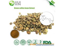 Green coffee bean extract 20%,30%,50%图1
