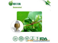 Resveratrol, Fallopia japonica Extract图1
