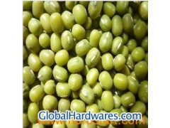 Sprouted_Green_Mung_Beans_Crop图1