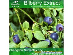 Bilberry P.E. 25% Anthocyanidins(sales06@nutra-max.com)图1