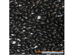 Black Bean (BKB)图1