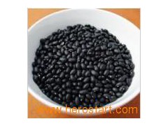Black Kidney Beans (0054)图1