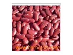 Red Kidney Beans (012)图1