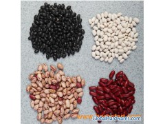 Kidney Bean (KB)图1