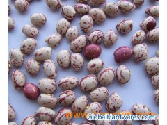 New Crop Round Shape (LSKB)图1