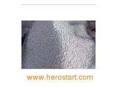 Long White Kidney Beans (001)图1