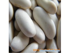 White Lima Beans (WF-1)图1