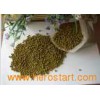 Mung Beans 009