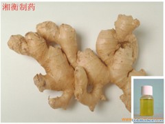 Ginger Oil图1