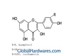 Ginkgo Biloba Extract图1