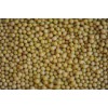 Soybean (Dongnong 690)
