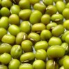 Mung Bean
