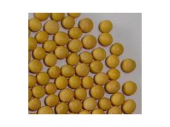 Certificated Soybean图1