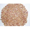 Light Speckled Kidney Beans -Round Shape (HM-11016)