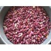 Purple Speckled Kidney Beans