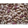 Light Speckled Kidney Beans Long Shape
