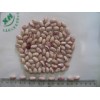 Light Speckled Kidney Beans (Round Shape)