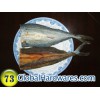 Dried horse mackerel (headless)