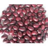 Purple Sand Kidney Beans