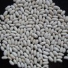 White Kidney Beans