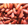 Red Kidney Beans