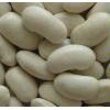 Sell White kidney beans (long shape)